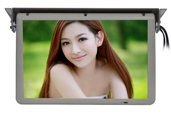 VT-R1906 19寸電動(dòng)顯示器 VT-R1906 19寸電動(dòng)顯示器